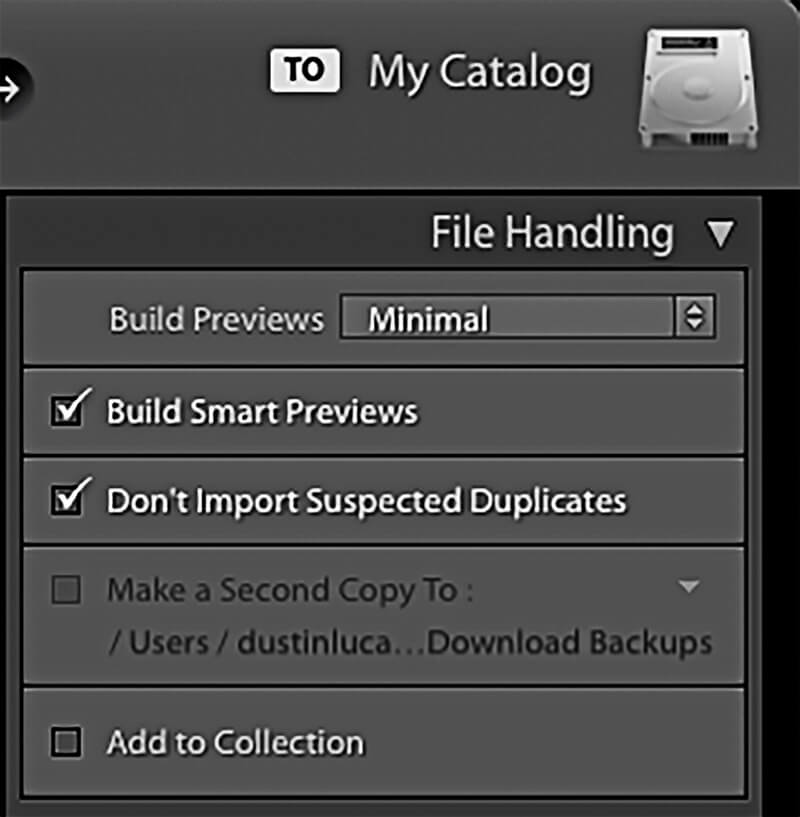 Under File Handling, choose Build Smart Previews